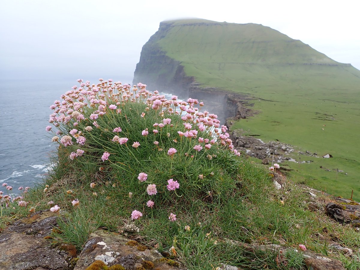 Agnes Kreiling tweet media