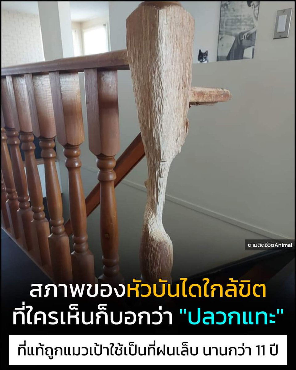 nu-an tweet media