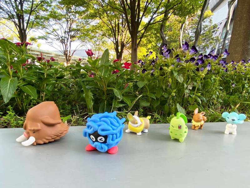 X-এ ポケモンだいすきクラブ編集部【公式】: X-এ ポケモンだいすきクラブ編集部【公式】: