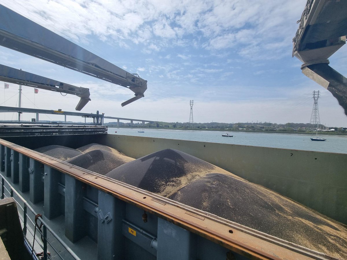 2,800 MT of HOLL #OSR from United Oilseeds growers are loading onto the MV Westwind at Ipswich this a.m, for export to the EU. <a href="/BeckiiGibbs/">Beckii Gibbs</a> <a href="/Tula205/">James  Hood</a>
<a href="/holly_gourley/">Holly Gourley</a> <a href="/BeckyBeesley1/">Becky Beesley</a> @AaronCantrill1 <a href="/jogunes1/">@JoGunes</a> <a href="/owencuos/">Owen Cligg</a> <a href="/Aland1978/">Alan Davies</a> <a href="/BeckyCrocombe/">Becky Crocombe</a> <a href="/McGregorFarms/">McGregor Farms</a> #breakcrops