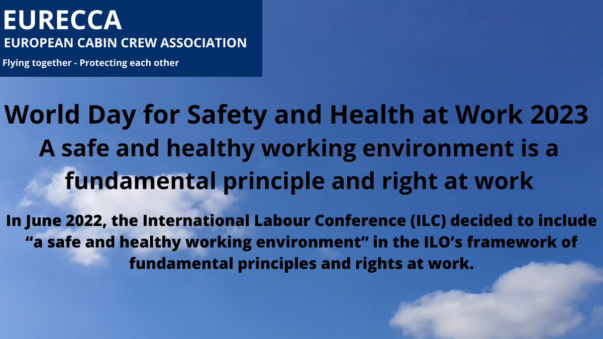 EURECCA European Cabin Crew Association tweet media