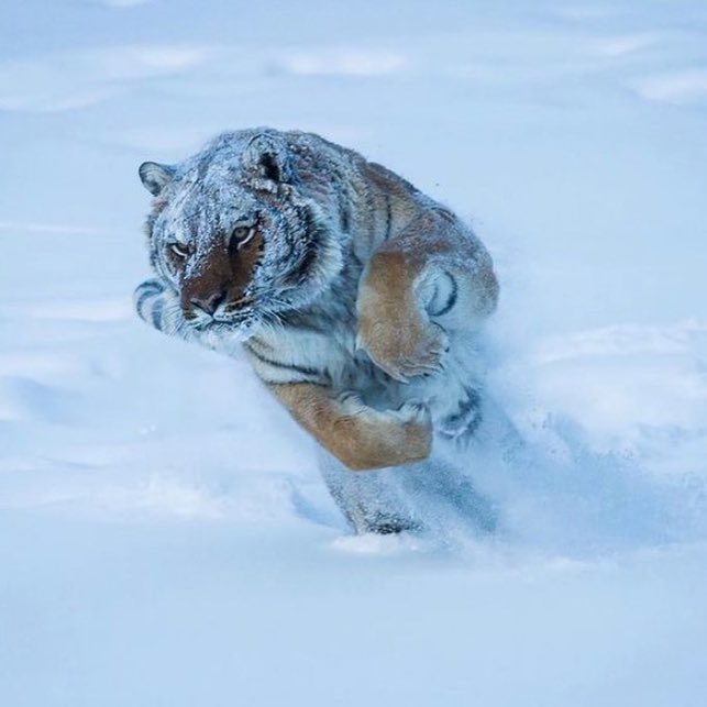 DRIP (@dript3r) on Twitter photo 