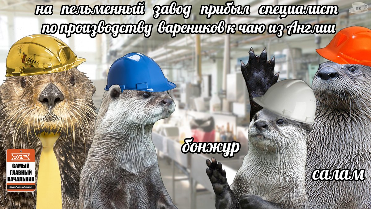 splaseme's tweet photo. 👷 #рабочие пельменного завода  знакомятся со специалистом из Англии ☕️

#otter #otters #выдра #выдры #splasememes #plan_kinaki https://t.co/dCdXOOwWvw