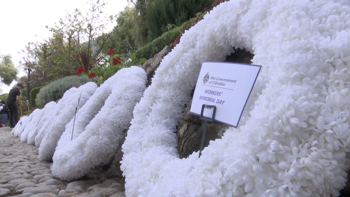 GBCNewsroom's tweet photo. Dignitaries lay wreaths for Workers' Memorial Day at Alameda
https://t.co/s0MkOUPPmB https://t.co/Uq9tHyf682