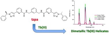Thorri Gunnlaugsson (@thorrigunnlaugs) on Twitter photo Congrats to Isabel, Oxana, Dawn & <a href="/anbeirneach/">Iósaf Ó Beirne (Dr Joe Byrne 👨🔬🧪)</a> on their open access <a href="/ChemCommun/">Chemical Communications</a> pubs.rsc.org/en/content/art……… on Tb(III) di-metallic helicates in solution using our bis-tridentate (1,2,3-triazol-4-yl)-picolinamide tzpa ligand design @scienceirel <a href="/ambercentre/">AMBER</a> <a href="/tcdTBSI/">TCD TBSI</a> <a href="/TCD_Chemistry/">TCD School of Chemistry</a> Congrats to Isabel, Oxana, Dawn & <a href="/anbeirneach/">Iósaf Ó Beirne (Dr Joe Byrne 👨🔬🧪)</a> on their open access <a href="/ChemCommun/">Chemical Communications</a> pubs.rsc.org/en/content/art……… on Tb(III) di-metallic helicates in solution using our bis-tridentate (1,2,3-triazol-4-yl)-picolinamide tzpa ligand design @scienceirel <a href="/ambercentre/">AMBER</a> <a href="/tcdTBSI/">TCD TBSI</a> <a href="/TCD_Chemistry/">TCD School of Chemistry</a>
