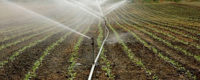 houseofmaji's tweet photo. IRRIGATION SOLUTIONS
Looking for a Modern irrigation system, planning and construction solutions?
Don't WORRY, Houseofmaji got you covered!! 
Call/Whatsapp us on 0112 363 100 https://t.co/W6ZV0H19UW