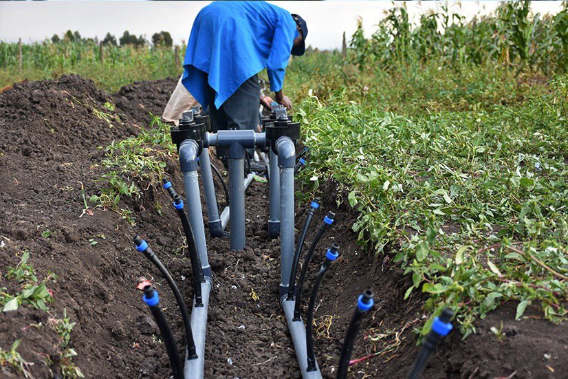 houseofmaji's tweet photo. IRRIGATION SOLUTIONS
Looking for a Modern irrigation system, planning and construction solutions?
Don't WORRY, Houseofmaji got you covered!! 
Call/Whatsapp us on 0112 363 100 https://t.co/W6ZV0H19UW