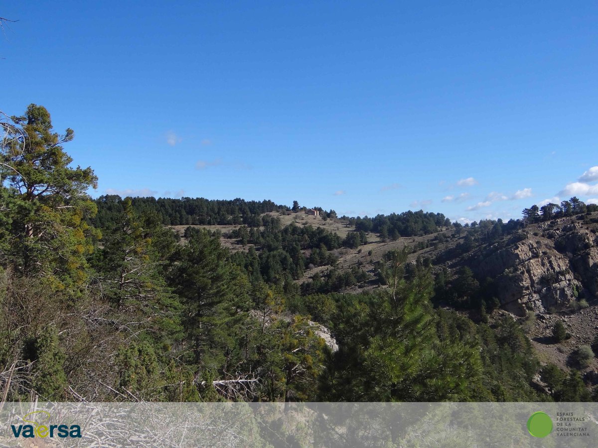 VaersaGva's tweet photo. 🏡 La finca Masía de Sanahuja en Chodos (Castellón) se ha incluido en el Catálogo de #MontesUtilidadPública. #SomosVaersaGrupo colabora con @GVAagroambient en la catalogación, para otorgar la mayor protección a nuestros #Montes y #EspaciosForestales https://t.co/TOI1YaARZL