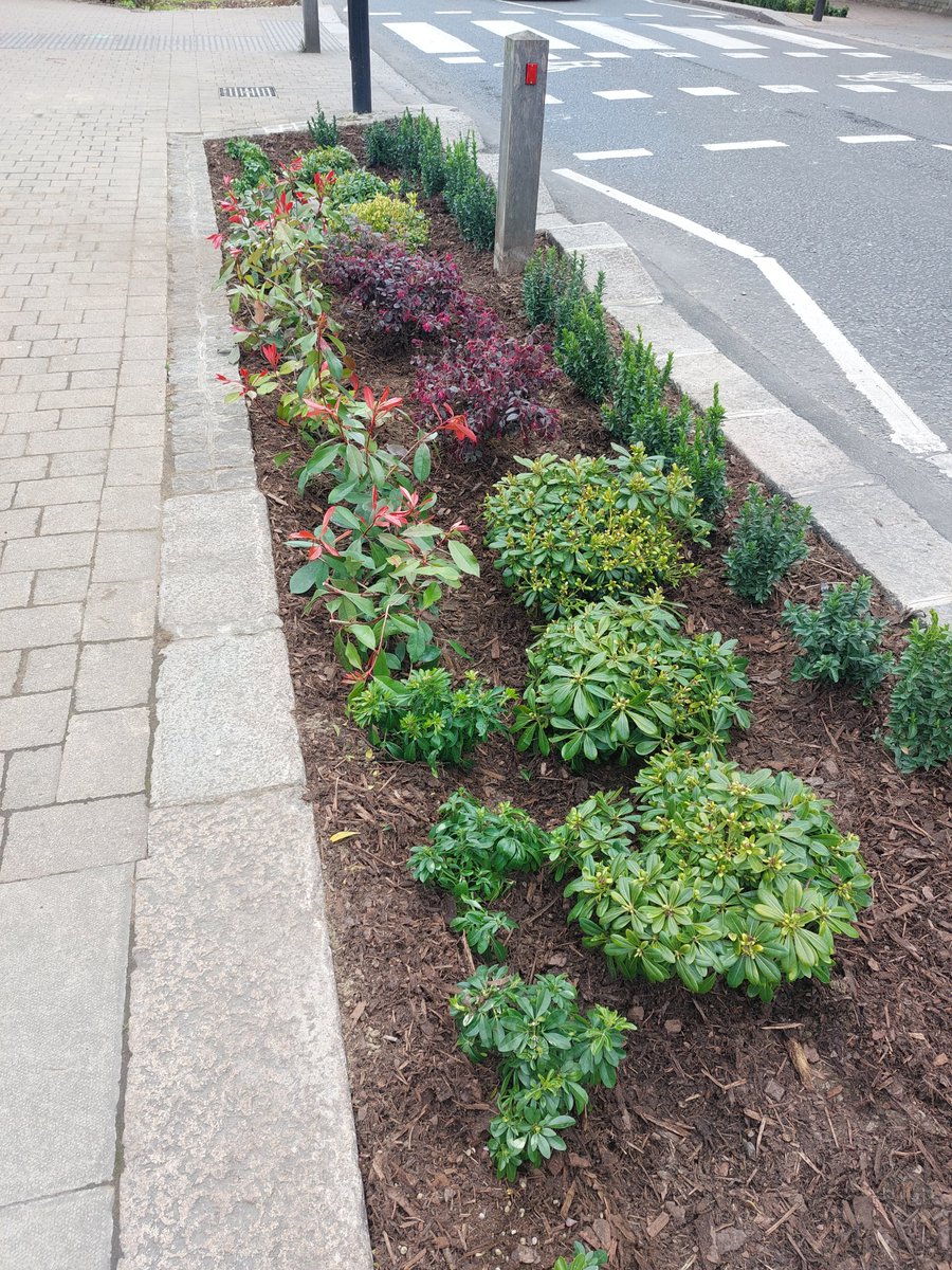 Blue Green Enfield tweet media