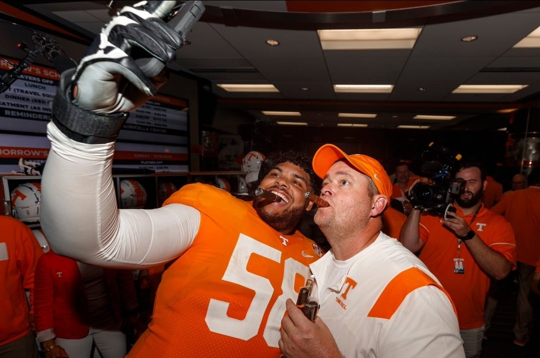 Tiny Vol tweet media