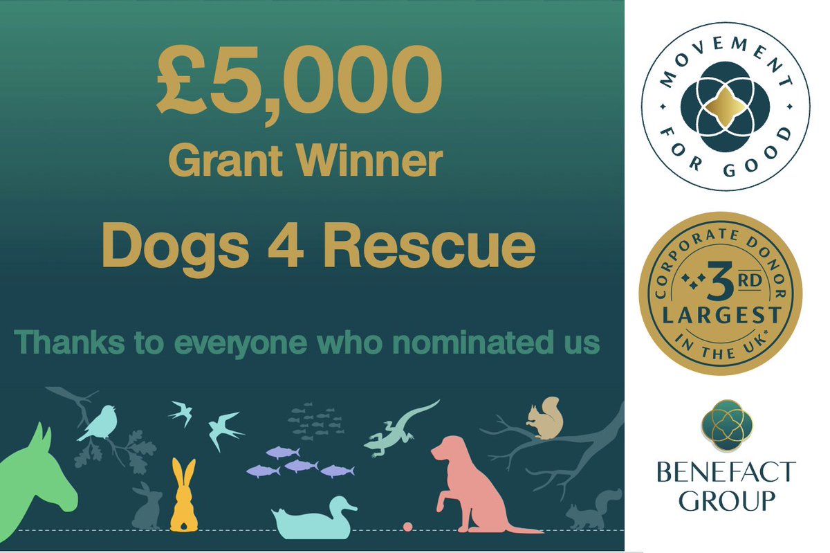 Dogs4Rescue's tweet photo. Incredible news just in 🥳🥳🥳 Overjoyed to be one of the lucky winners of the special draw for animals from #movementforgood. Huge thanks to everyone who took the time to nominate us (one of your entries was pulled out of the hat!) and to @benefactgroup who are doing so much to support smaller not for profits in these challenging times.