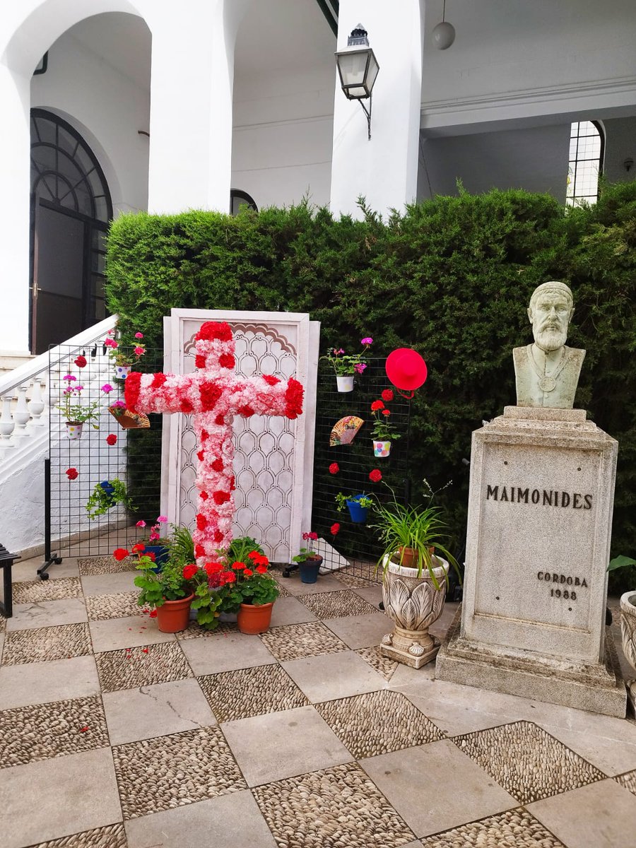 IES Maimónides tweet media