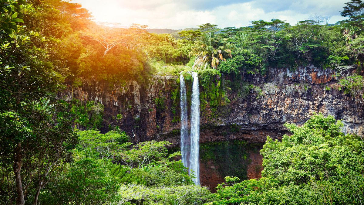 Iberojet (@iberojetair_es) on Twitter photo 2023-05-14 08:00:01 Descubre el paraíso. 🌴☀️🌊 Vuela a Mauricio y disfruta de sus playas de ensueño, su exótica fauna y flora, y su rica cultura. #ElVueloQueSueñas bit.ly/3n3wiP9 Descubre el paraíso. 🌴☀️🌊 Vuela a Mauricio y disfruta de sus playas de ensueño, su exótica fauna y flora, y su rica cultura. #ElVueloQueSueñas bit.ly/3n3wiP9