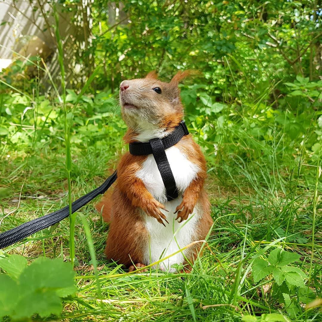 My favorite &amp; your...!!!