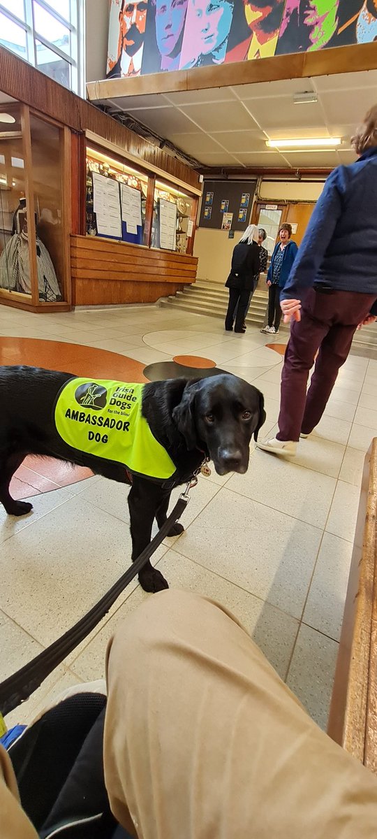 John Murtagh tweet media