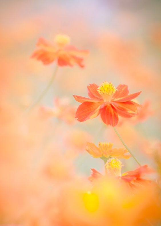 행복한 사인 (@happysign22) on Twitter photo 