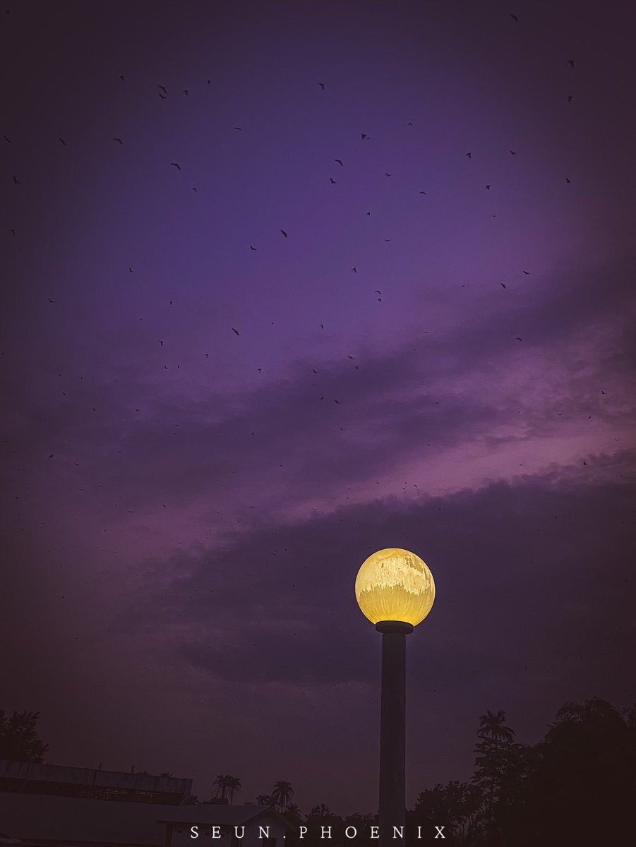 SeunPhoenix's tweet photo. 4 Random beautiful spots on OAU campus shot on Mobile 😌~ You owe me a follow as an OAU student if you’re seeing this~let’s connect!!! Shall we?  😊😊🥹 #OAUtwitter #Landscapes #mobilephotography https://t.co/7YQwqXReBY