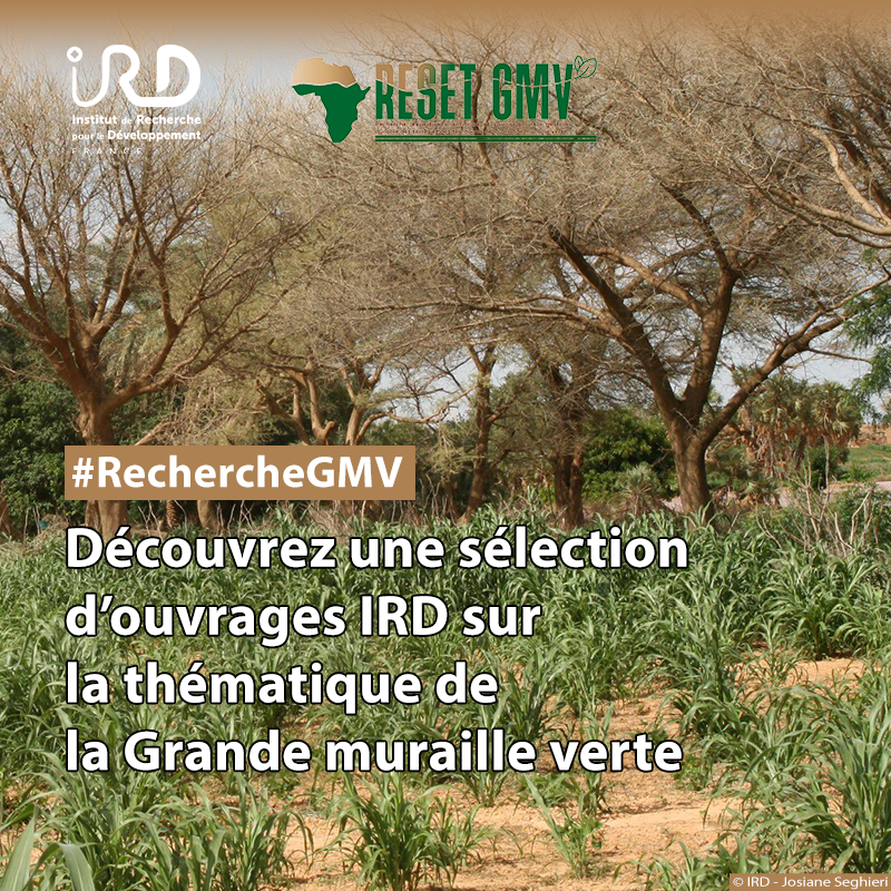 #VendrediLecture | 👉 A l'occasion du lancement du réseau international de recherche RESET-#GMV, découvrez notre sélection d'ouvrages #IRD sur la thématique de la #Grandemurailleverte. 🔗editions.ird.fr/store/page/168…