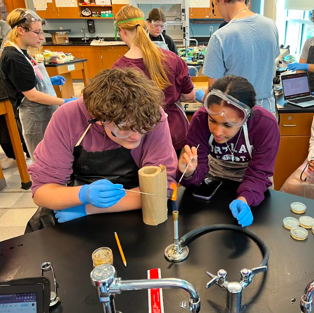 Berlin_Batman's tweet photo. We're gram staining in AP/ECE biology!  Students are taking their first step towards identifying their unknown bacteria samples. 🦠🔬 https://t.co/nZnhBURouW