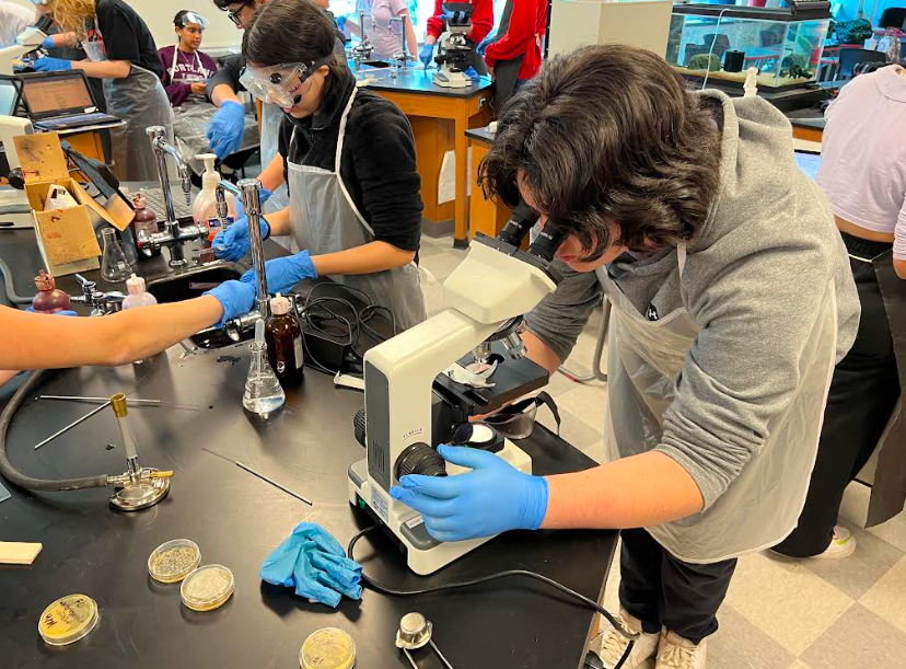 Berlin_Batman's tweet photo. We're gram staining in AP/ECE biology!  Students are taking their first step towards identifying their unknown bacteria samples. 🦠🔬 https://t.co/nZnhBURouW