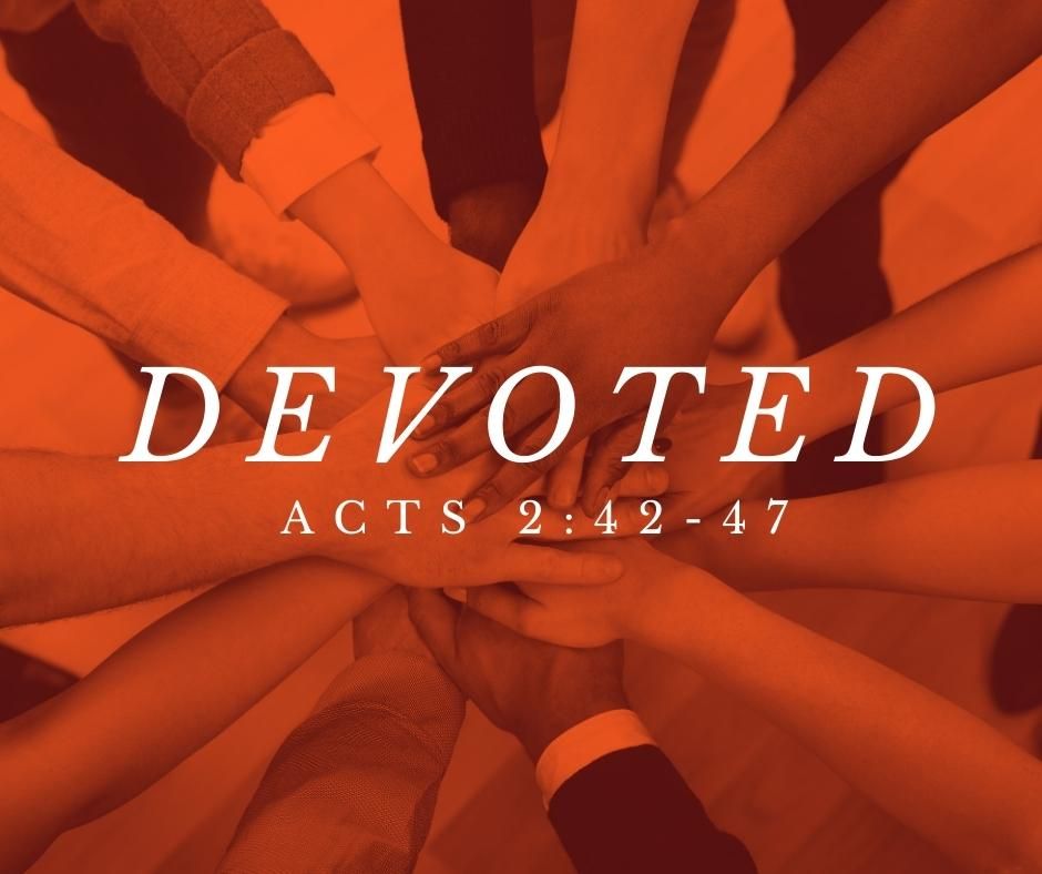 The latest from St Oswald's Church - mailchi.mp/d54b4f1bb9ee/t…