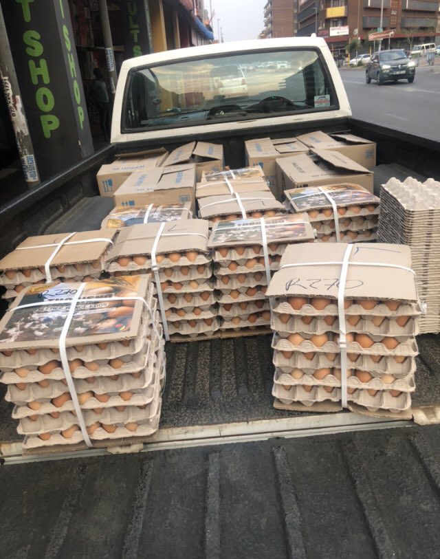 Gracelandfarmer's tweet photo. Farm fresh chickens and eggs 🥚,
WhatsApp 0793642181
We in Germiston 

Grootman. Cyan. #podcastandchillwithmacg . Teffo. Gcinile. #TheBalaFamily. Drip. Boity.  Mnangangwa . Soweto. The juicy jay effect. #deephouse https://t.co/vOxWzxfDUI