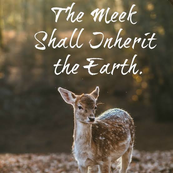 JFAnimalWelfare's tweet photo. Cause the Lords said, meek shall inherit the earth. 🐻🐻‍❄️🐨🐼🐹🐯🐱🦁🐶🐺🐹🐭🐰🦊🦝🐮🐷🐽🐗🦓🦄🐴🫎🐵🐲🦎🐢🐊🐍🐸🐇🐁🐀🐈🐩🐕🐖🐎🫏🐄🐂🐃🦬🐏🐑🐐🦌🦙🦥🦘🐘🦏🦛🦒🐆🐅🐒🦍🦧🐪🐫🐿️🦫🦨🦔🦦🦇🐦🐦‍⬛🐓🐔🐤🐥🦉🦜🦅🦤🦢🦆🦚🦩🪿🦭🐧🦈🐬🐋🐠🦐🐡🦞🦀🦑🐙🪼🦪🪸🦂🕷️🕸️🐝🪰🪳🐌🐚🐞🦋🐛🪱🦠🐾 https://t.co/rAJhoGx6NO