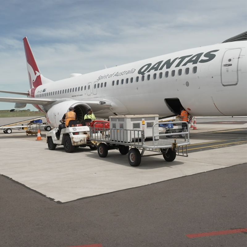 Qantas's tweet photo. The Qantas Freight team is used to transporting some unusual and precious cargo, but it’s not every day they’re called on to take care of a critically endangered marine animal.