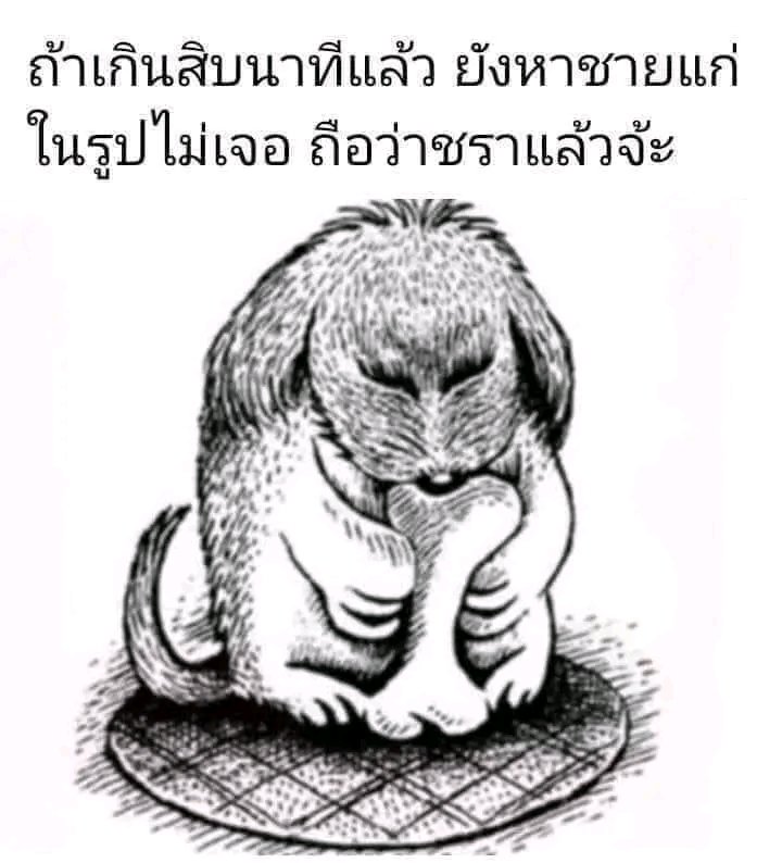 My Image 27