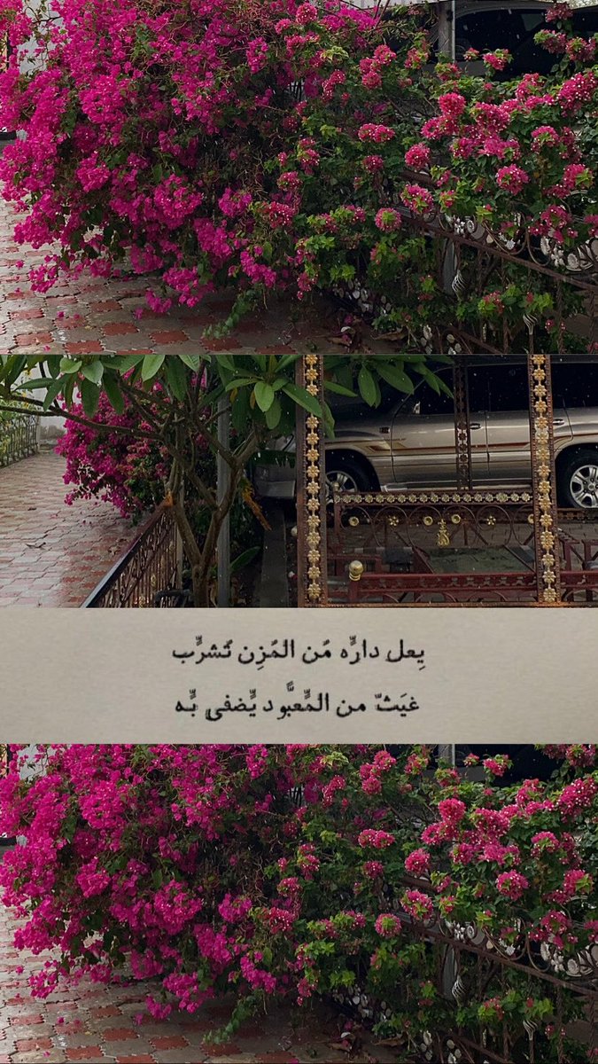 يعّل المطر همْلوله
يسقي حِذاه امديم 🌷🌈٠