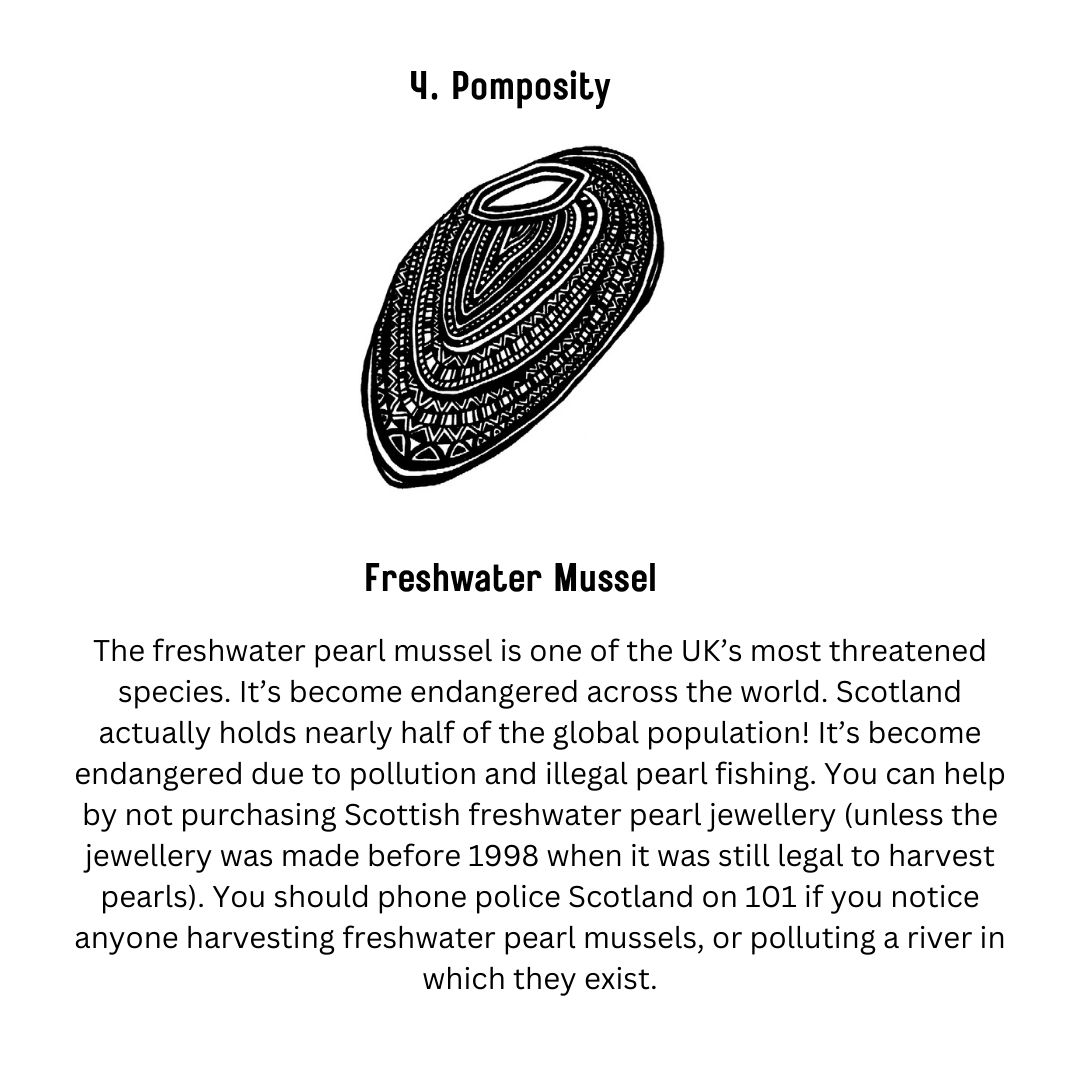 As part of the album I wanted to raise awareness for some endangered Scottish species. There's a drawing for every song on the album! Here's the first 4! #inkfields #thethirdsideofthecoin #conservation #Scotland