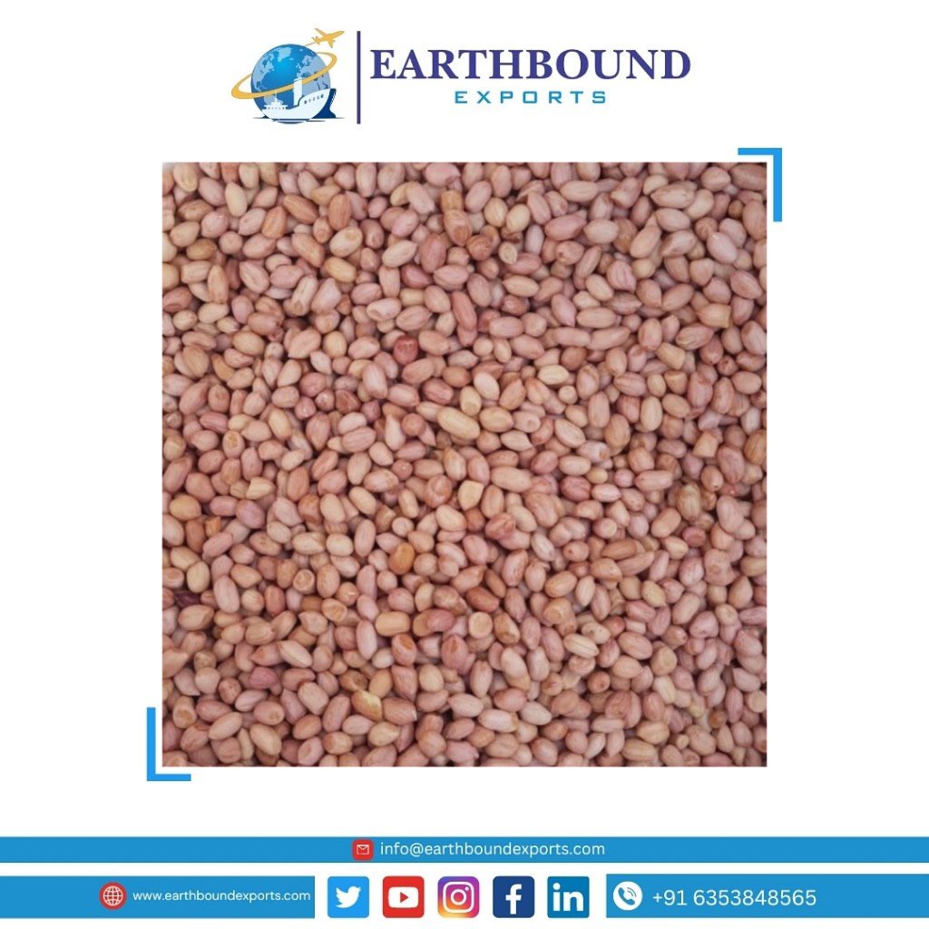 Earthbound_expo's tweet photo. Groundnuts ready to export Phillipines 🇵🇭 from Gujarat, India.

If you have any requirement or inquiry please contact us at-
Email: info@earthboundexports.com
W/A: +91 6353848565

#earthboundexports #nuts #peanuts #Indonesia #groundnutsexpors #Vietnam #indonesia #peanutsexports https://t.co/i9jxEC934o