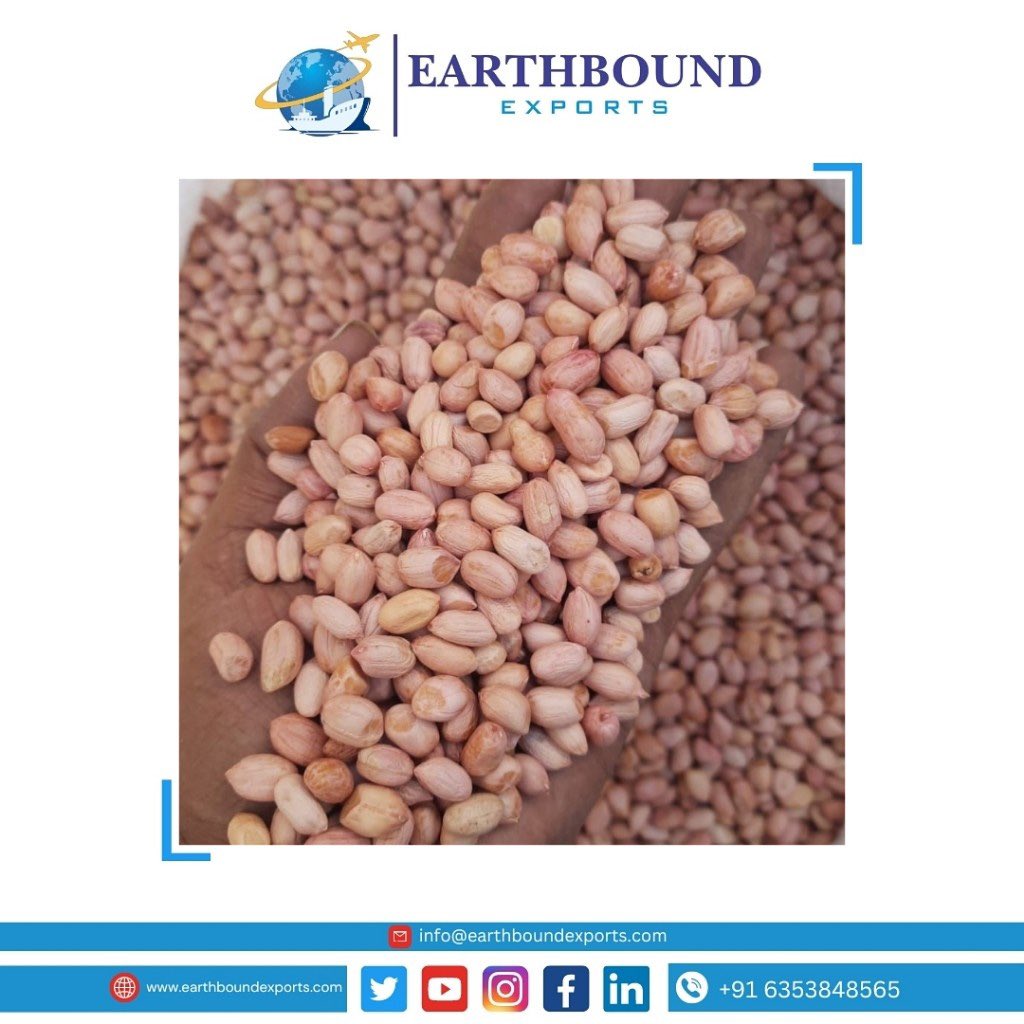 Earthbound_expo's tweet photo. Groundnuts ready to export Phillipines 🇵🇭 from Gujarat, India.

If you have any requirement or inquiry please contact us at-
Email: info@earthboundexports.com
W/A: +91 6353848565

#earthboundexports #nuts #peanuts #Indonesia #groundnutsexpors #Vietnam #indonesia #peanutsexports https://t.co/i9jxEC934o