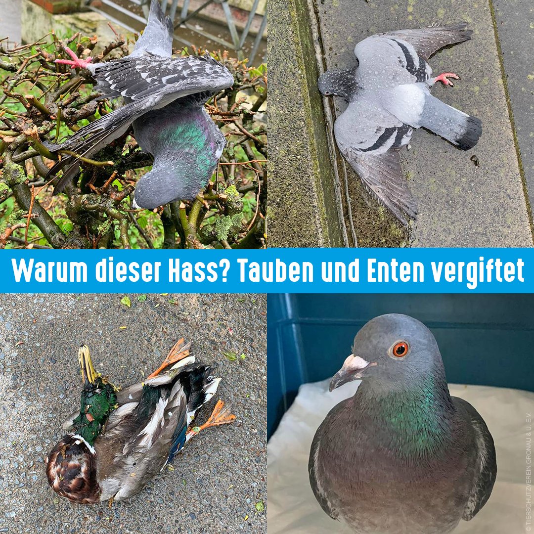 ⭐⚡Lady Stardust⚡⭐ (@Lady_Stardust92) / Twitter