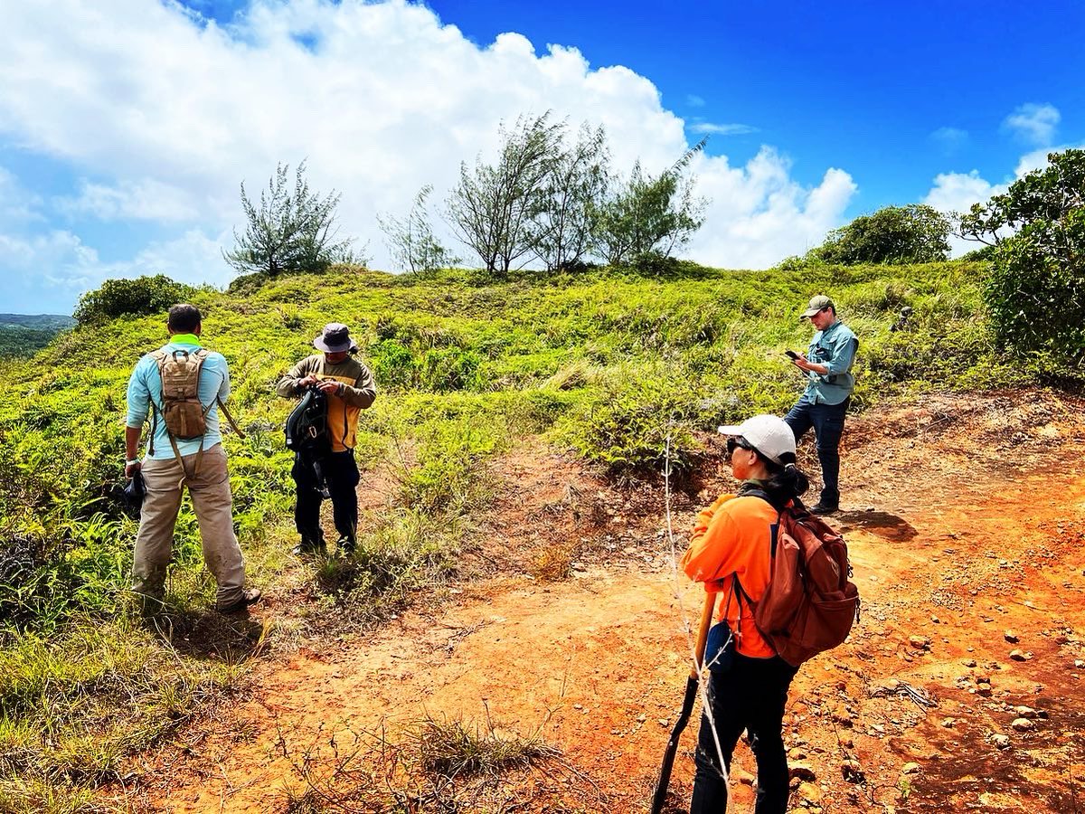 GuamEPA's tweet photo. Personnel from Guam EPA’s Monitoring Program perform wetland delineation studies and characterize organisms, soils and hydrology in Santa Rita. Agency personnel were joined by US Army Corp of Engineers and Guam Department of Agriculture. https://t.co/TnQvchC3lW