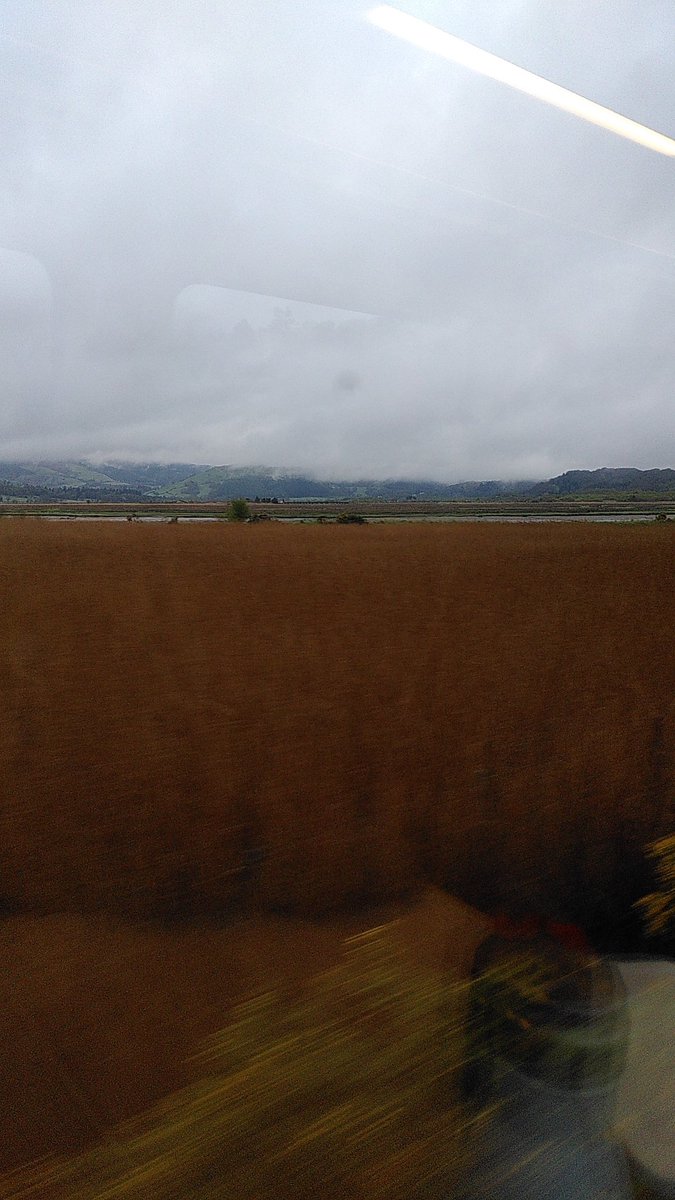 Susie Fowler tweet media