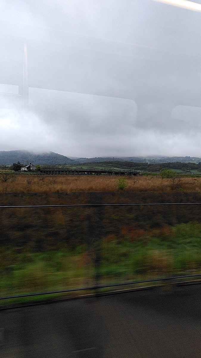 Susie Fowler tweet media