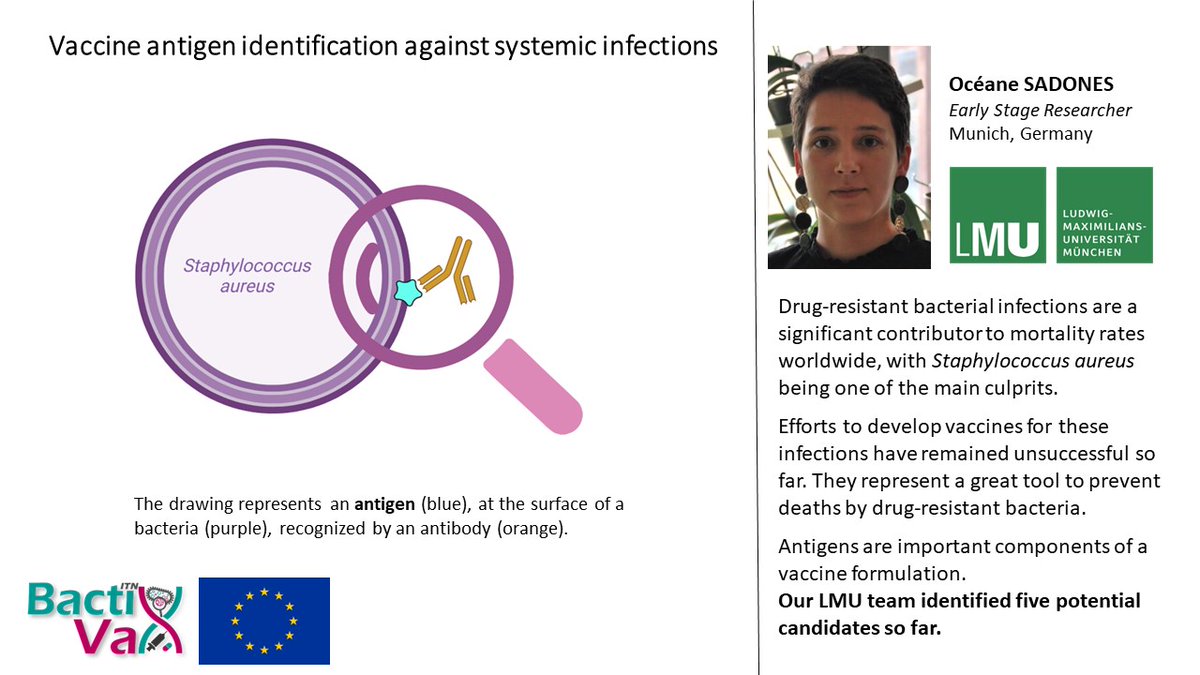 BactiVax's tweet photo. As part #WorldImmunisationWeek2023 of Océane Sadones from @LMU_Muenchen and @BactiVax highlight their work on “Vaccine antigen identification against systemic infections” #VaccinationWorks #WorldImmunisationWeek2023 https://t.co/xkMxu48sf9