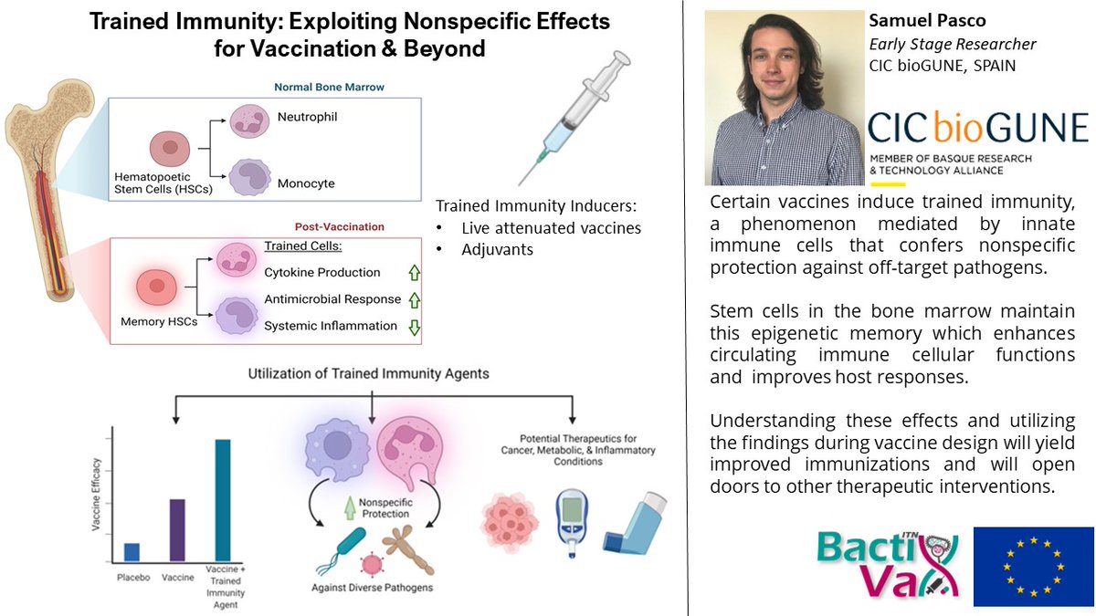 BactiVax's tweet photo. @pasco_sam from @AnguitaLab @CICbioGUNE and @BactiVax highlight their work on “Trained Immunity: Exploiting Nonspecific Effects for Vaccination & Beyond” #VaccinationWorks #WorldImmunisationWeek2023 @rea_Research & @MSCActions https://t.co/VhiHXnadhX
