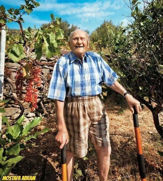 اليوناني  "موراتس"..كان عمره 63 سنة  عندما شخص الأطباء في أمريكا مرضه أنه مصاب بسرطان الرئة عام 1976 وأن الوقت قد تأخر لعلاجه وأمامه 6 شهور فقط قبل أن يموت .
موراتس لم يصدق من هول الصدمة وقرر أن يكشف عند أكثر من طبيب لكن للأسف جميعهم أجمعوا أنه سوف يموت بعد 6 أو 8 شهور .
.