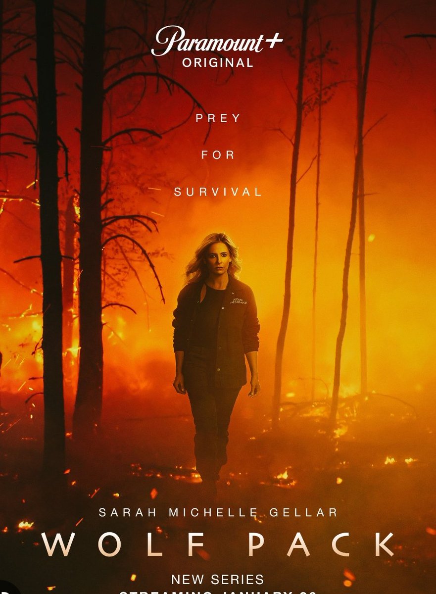 Sergio06451866's tweet photo. @paramountplus Renew wolf pack for a second season. We need to see more and more episode! #WolfPackOnPlus
#RenewWolfPack
#WolfPackSeason2 https://t.co/X9kXJfi2T8
