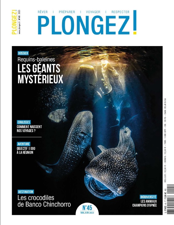Au sommaire du N°45 de Plongez ! en kiosque aujourd'hui : plongez.fr/sommaire-n45/