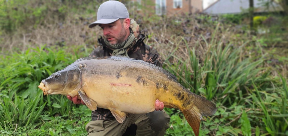 ClubVerulam's tweet photo. The Island Lake at Moor Mill is on fire! It’s thrown up yet another 30lb+ carp as Aden Martin banks this distinctive mirror at 31 lbs.
Come on chaps, where are all the capture pics from our other venues? Send them in! https://t.co/N4W51rORCf