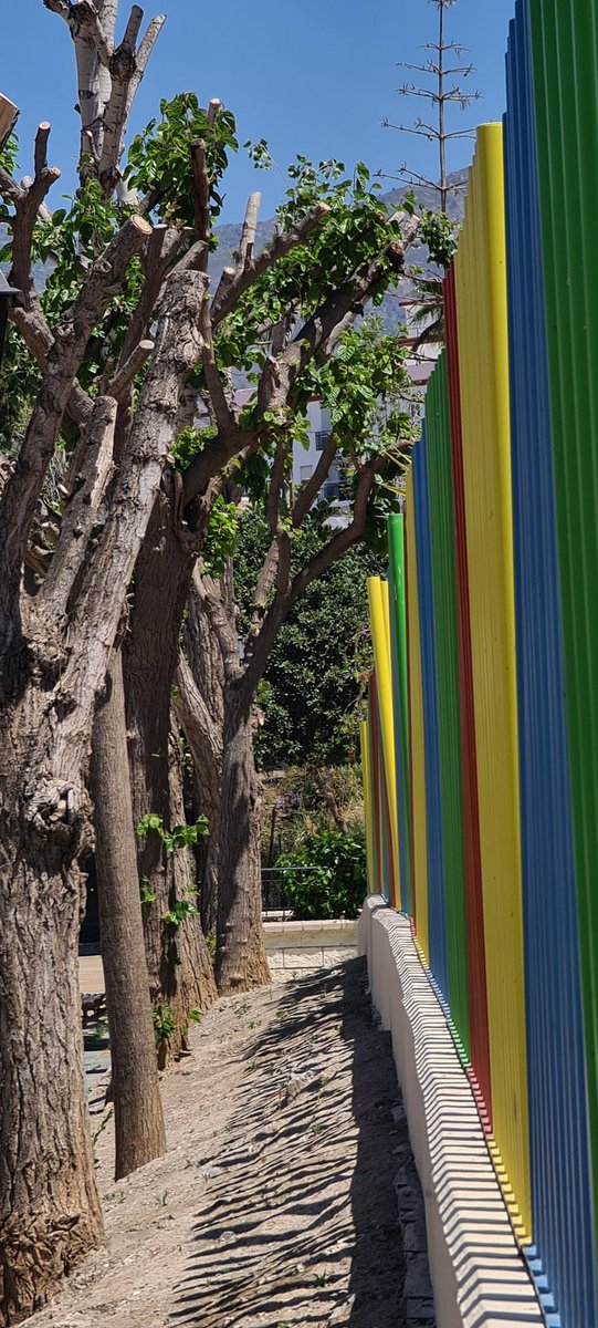 DimeTellme's tweet photo. Primary Colours...#FridayMotivation    #weekendvibes #fridayfun #sunshine #findesemana #playtimeanytime #shadows #silhouette #streetphotography #colourinspire #childsplay https://t.co/t3ZBZozTP8