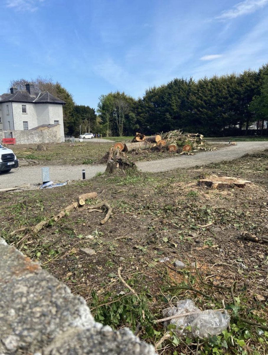 Dr Kerry Meakin tweet media