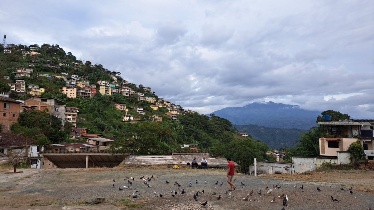 Noraenproceso's tweet photo. Hoy mientras iba camino a mi trabajo confirme mi enamoramiento por Zaruma, es relinda 🥺🪻. 
Lo que más amo es como se asienta sobre las nubes y como se ven las montañas a lo lejos y la flora y fauna. 
Rincón en el cielo, definitivamente. 
La 4ta la mejor foto, aesterik  :' https://t.co/79PRuNuWYY