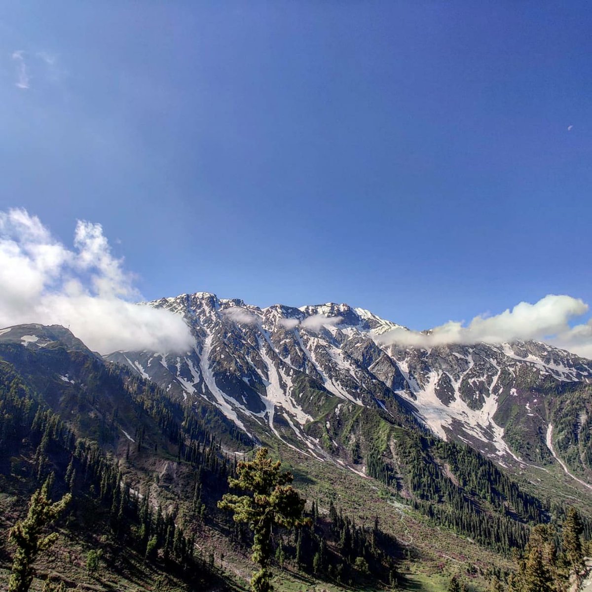 NavinPu25325318's tweet photo. Experience nature's beauty in Kupwara
#KupwaraAdventures
#ExploreKupwara
#KupwaraEscapades
#DiscoverKupwara
#KupwaraParadise https://t.co/aItxSOfCXA