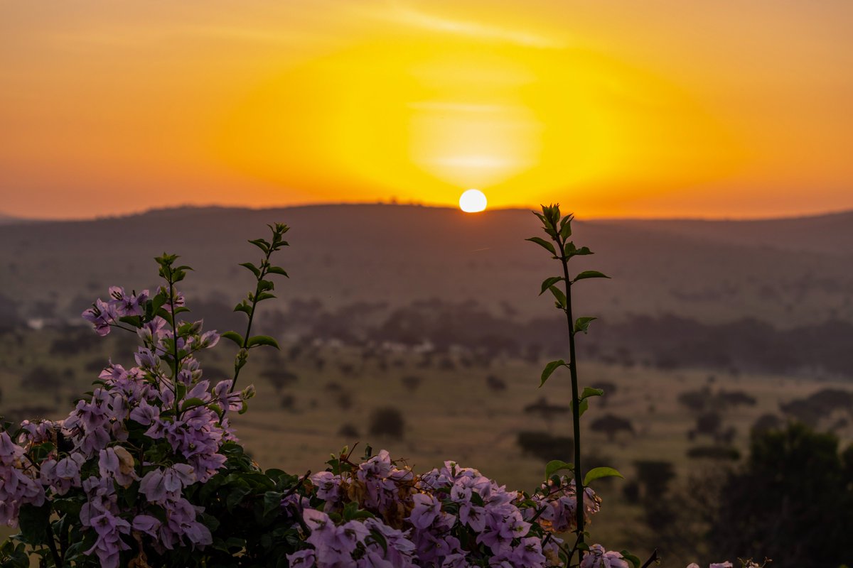 Wild adventures and unforgettable memories at Salt Lick Safari Lodge.
#WhereTheMagicNeverEnds
#safarilife #exploremore #saltlicksafarilodge