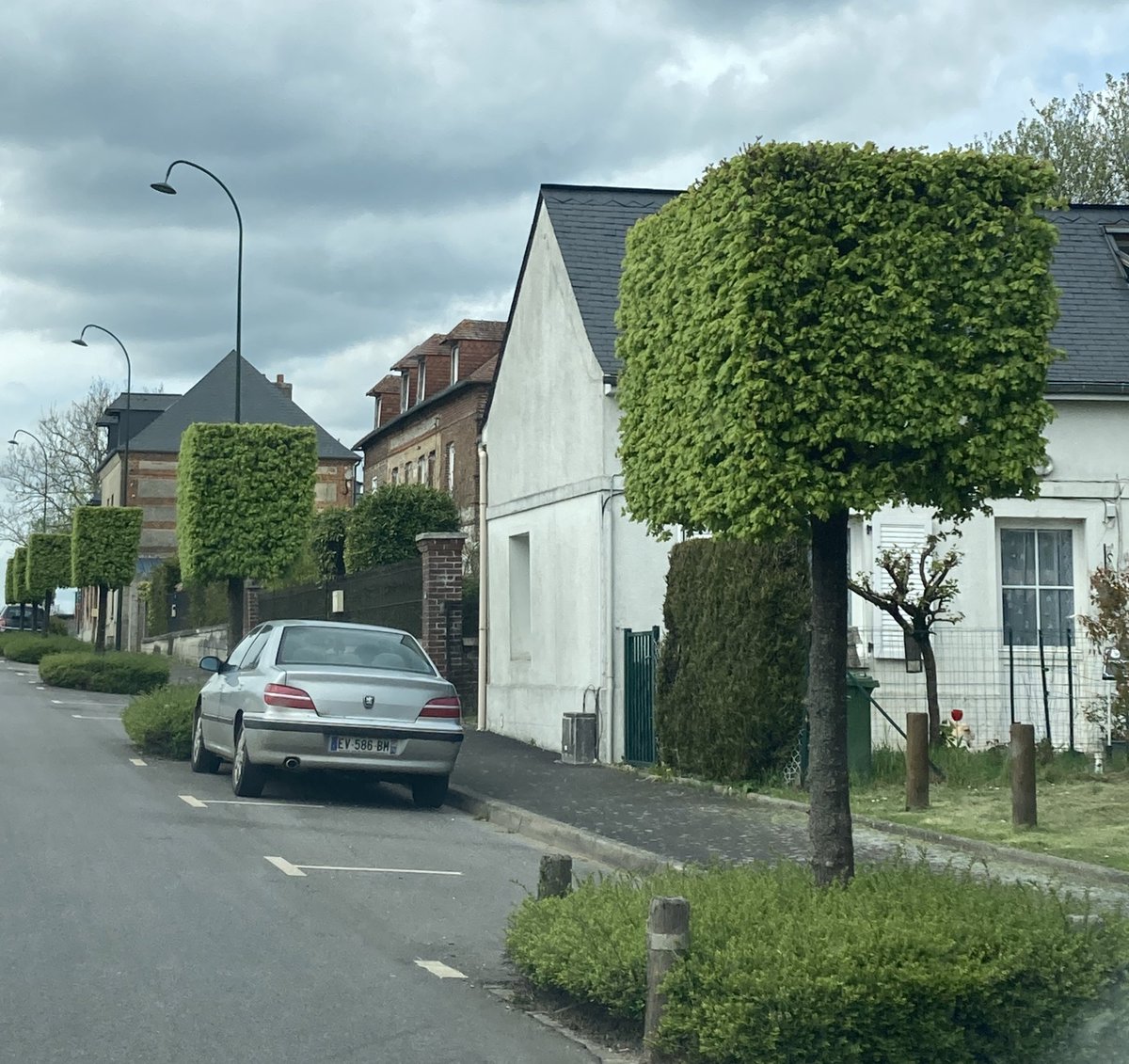 Maman ! On dirait les arbres de #mindcraft 😂#geek