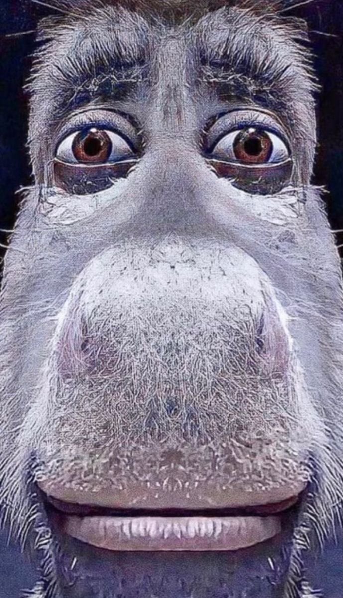 <a href="/miscopolemilf/">kawi😵‍💫</a> @pupapeligr00 questa è la mia🤷🏻‍♂️